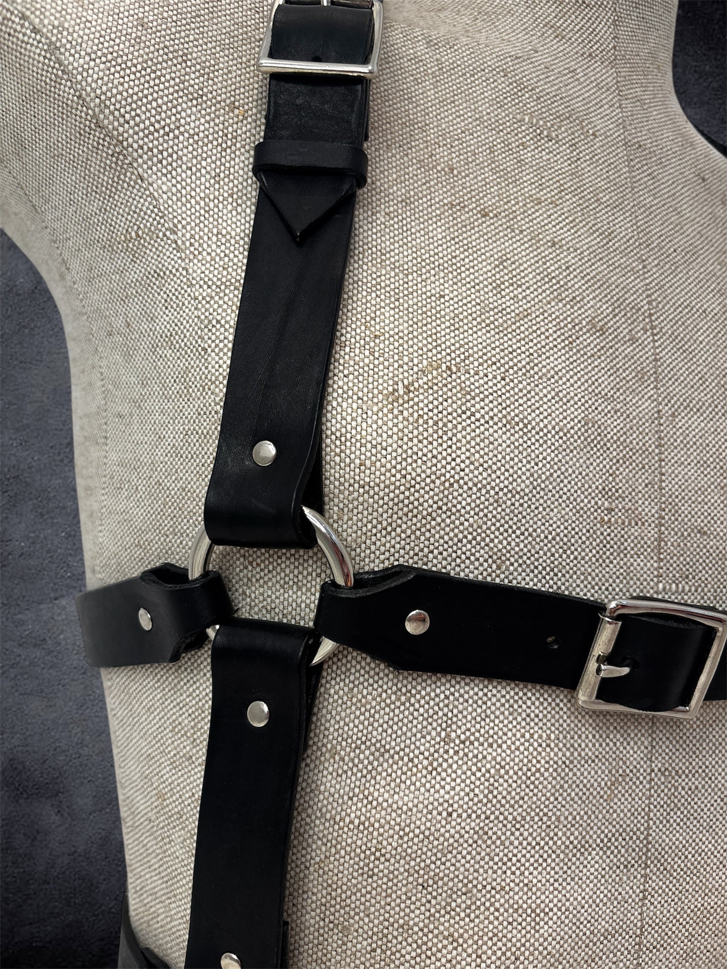 The Ashford Harness