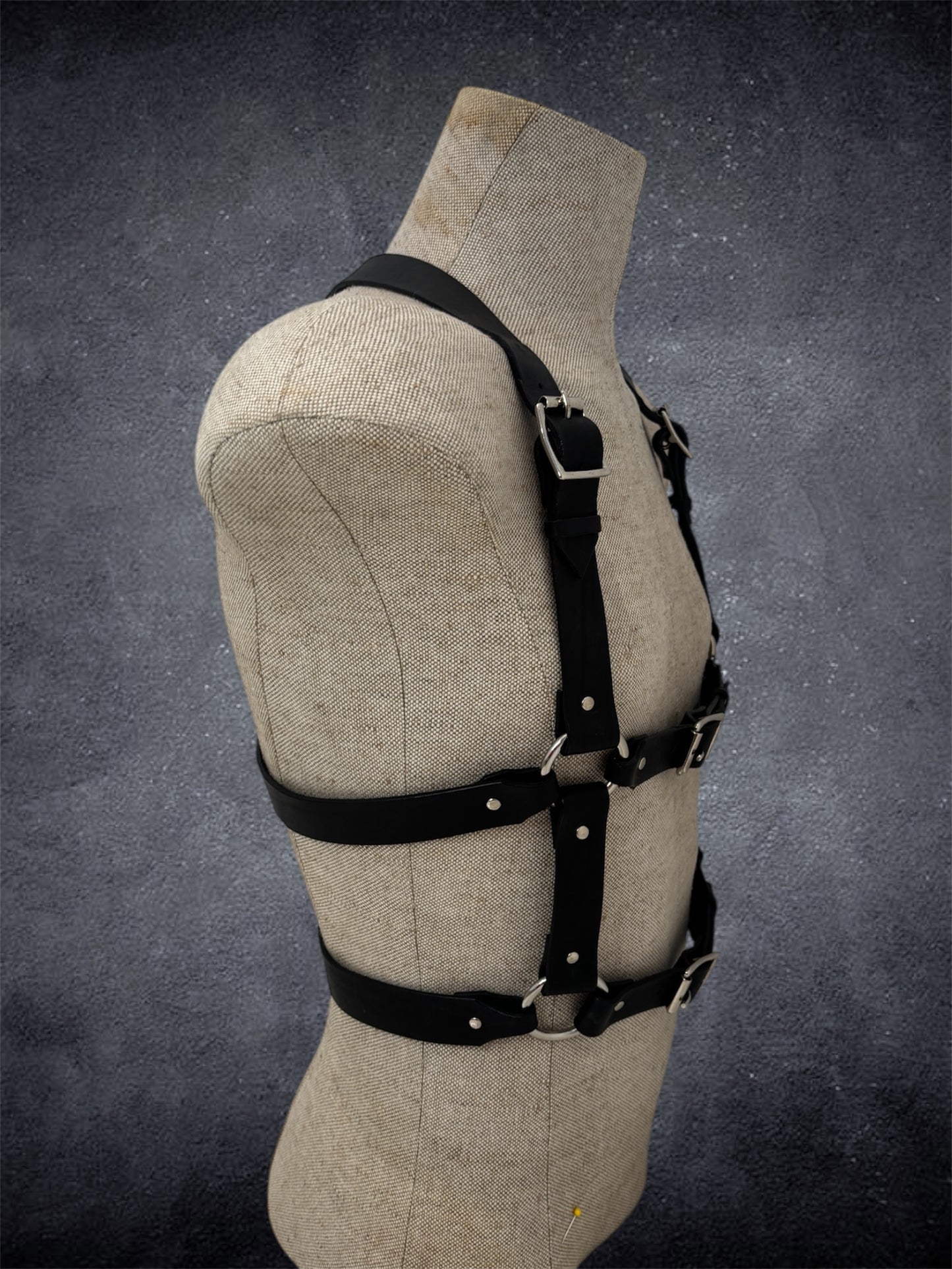 The Ashford Harness