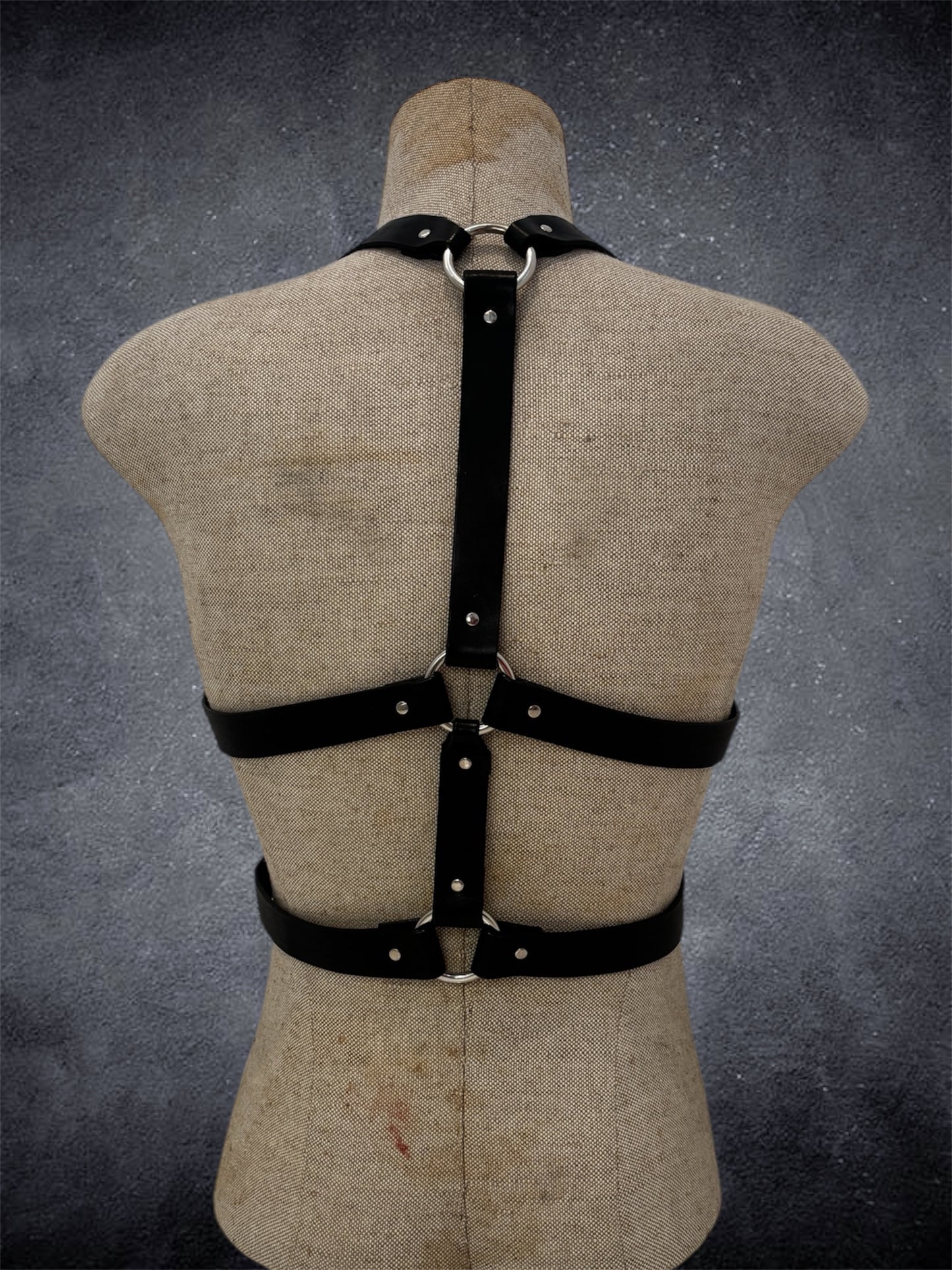 The Ashford Harness