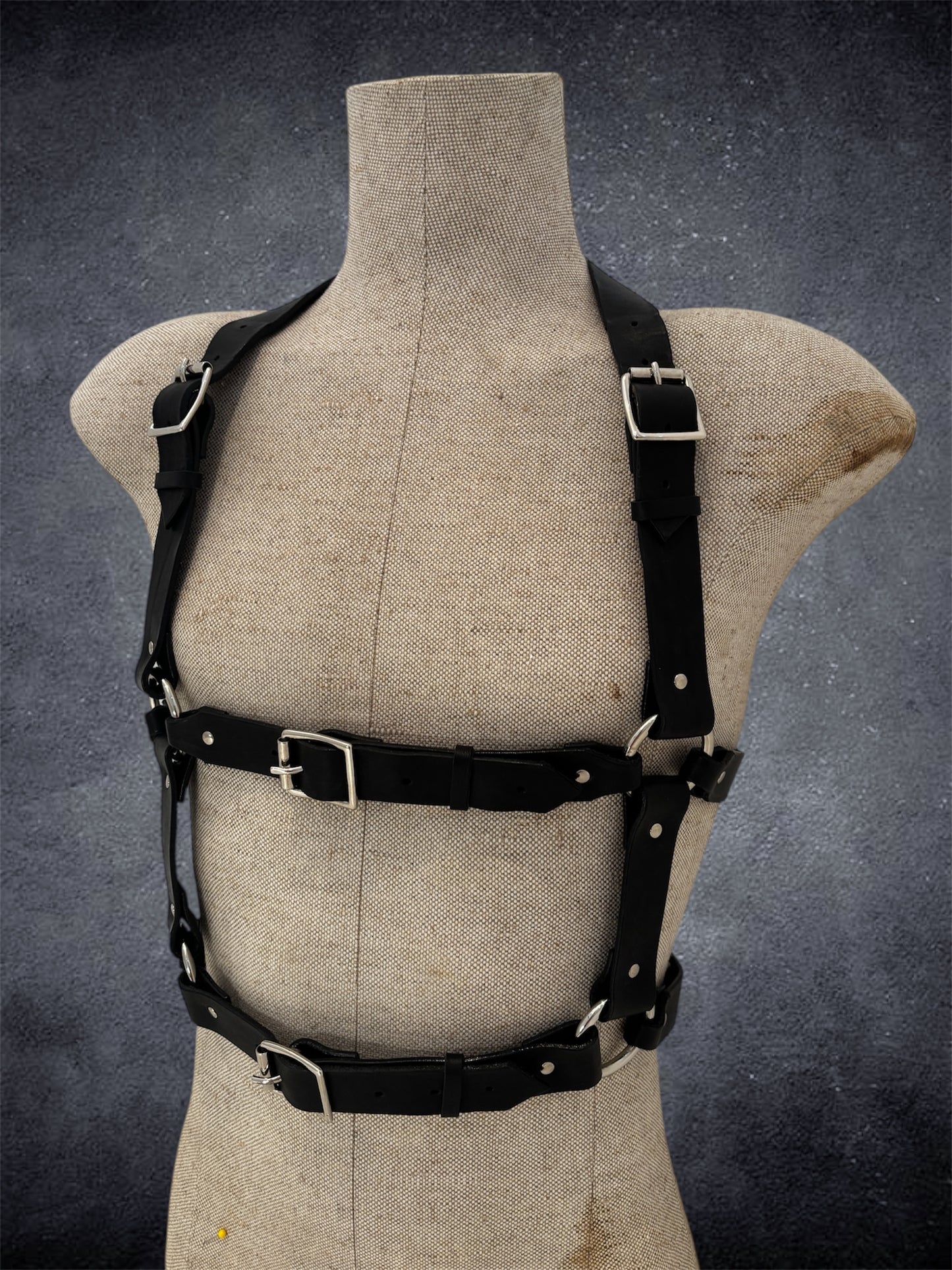 The Ashford Harness
