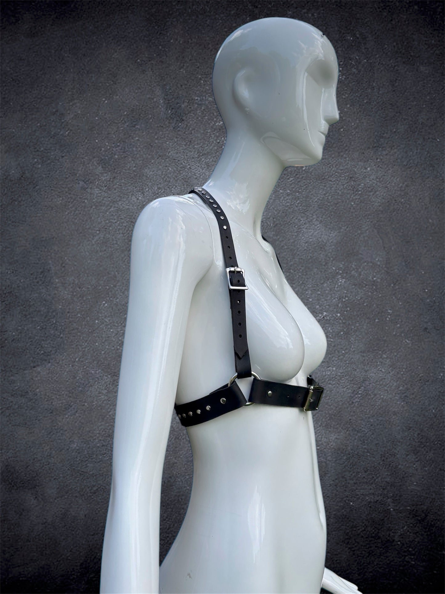 Classic Harness