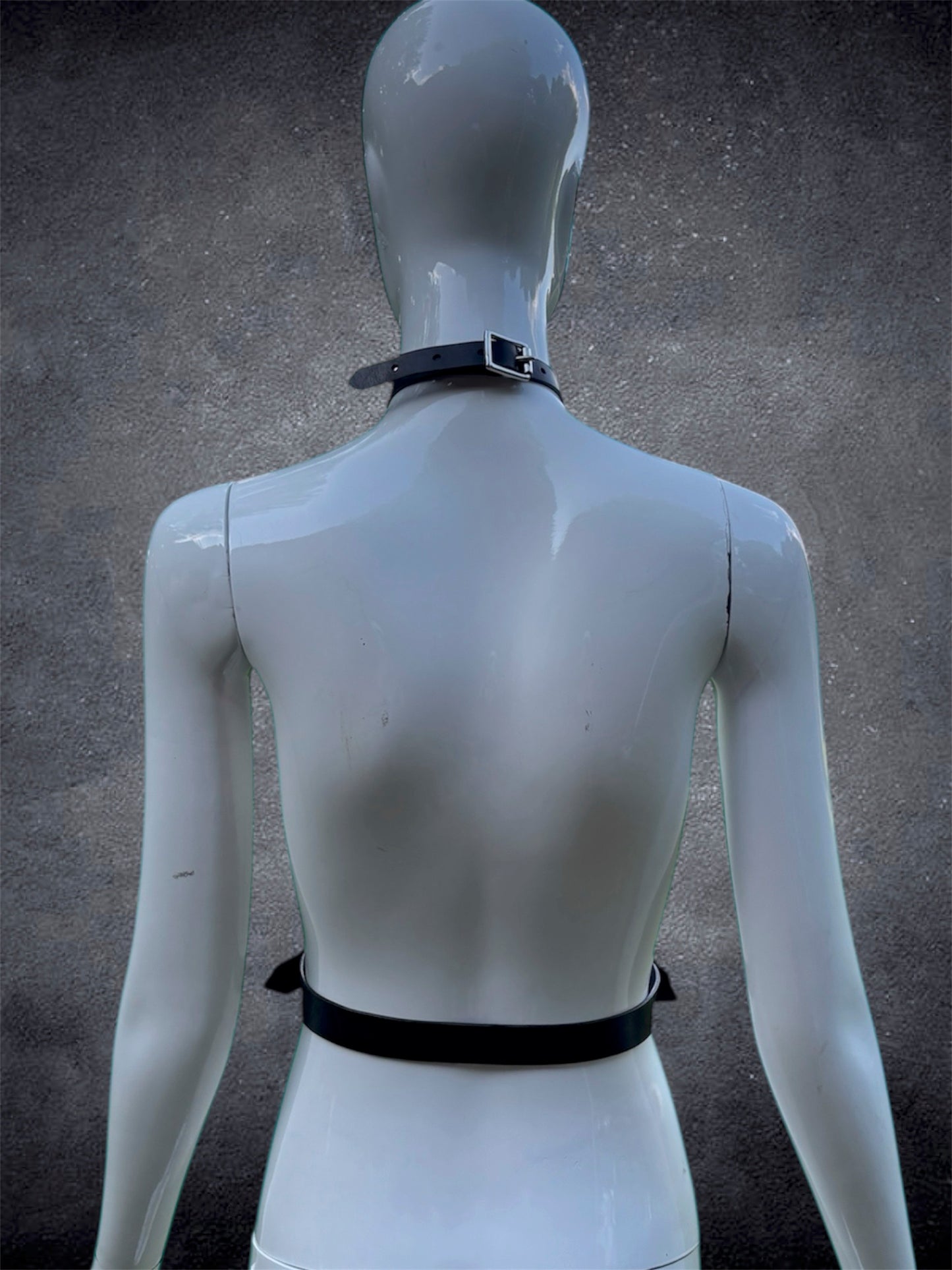 Front Strap Harness