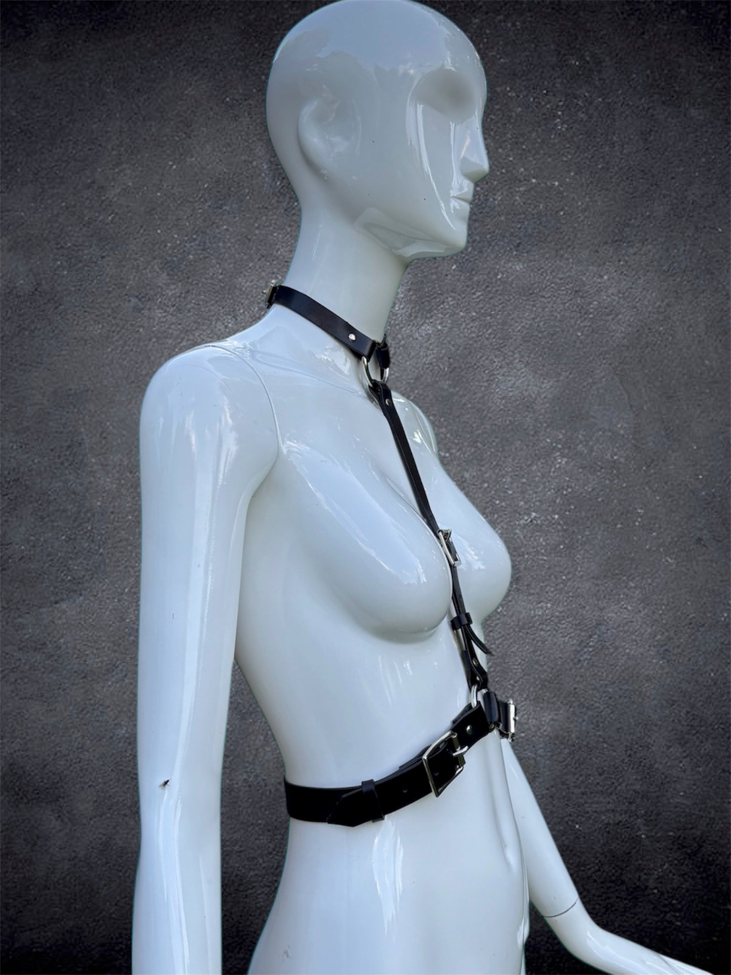 Front Strap Harness