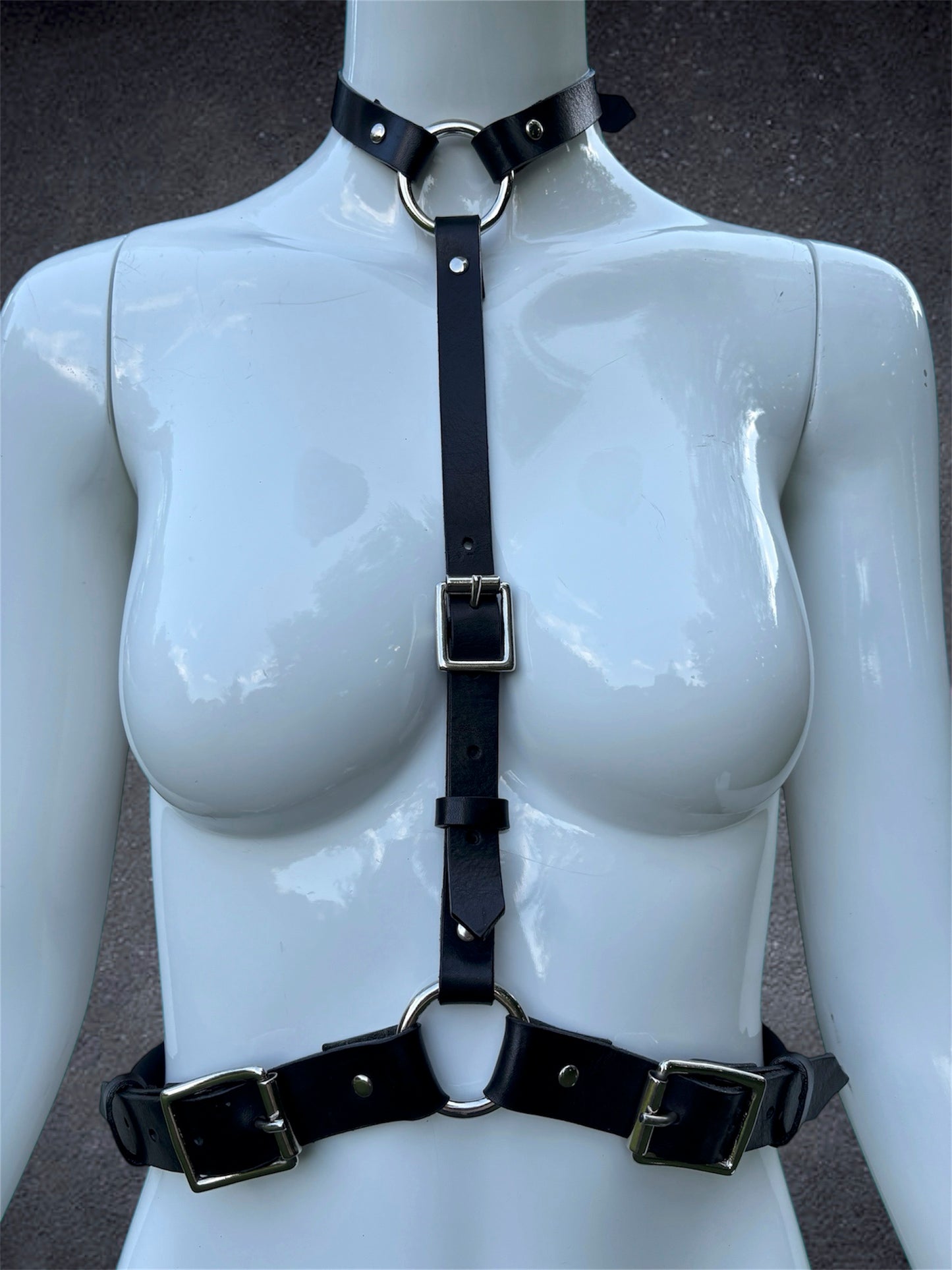 Front Strap Harness